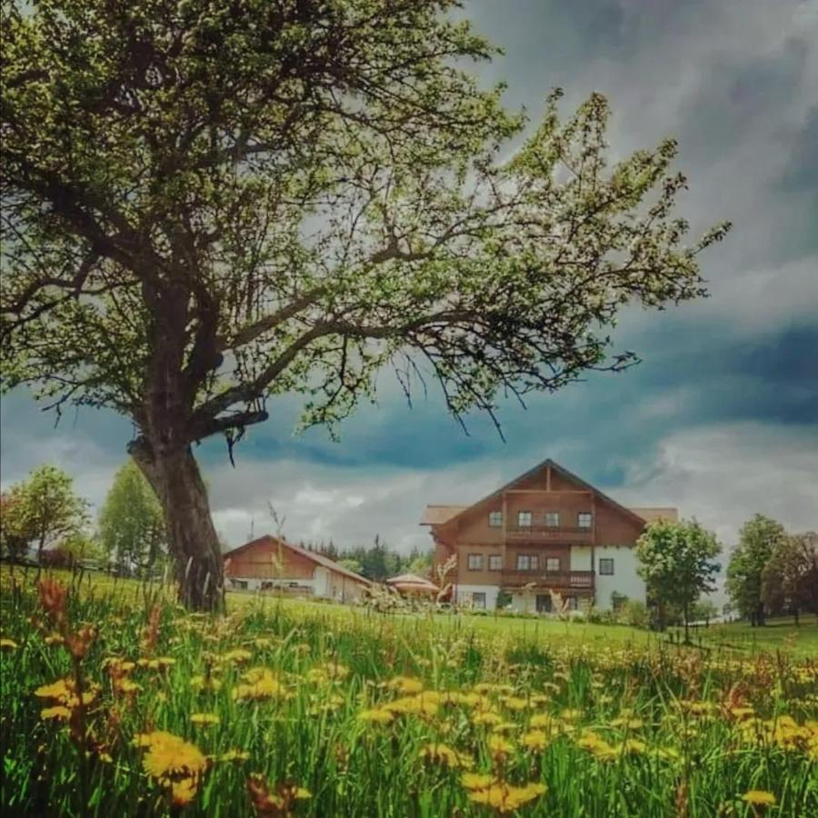 Biobauernhof Brandlhof Apartamento Ramsau am Dachstein Exterior foto