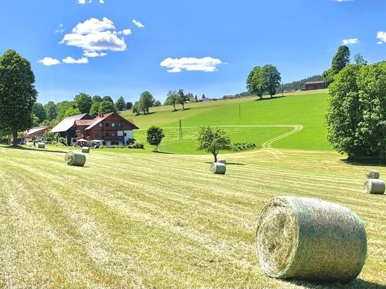 Biobauernhof Brandlhof Apartamento Ramsau am Dachstein Exterior foto