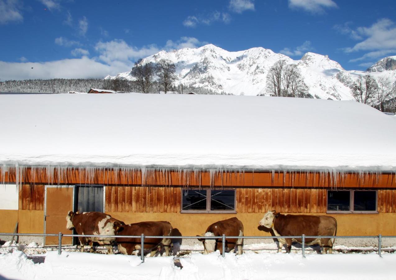 Biobauernhof Brandlhof Apartamento Ramsau am Dachstein Exterior foto