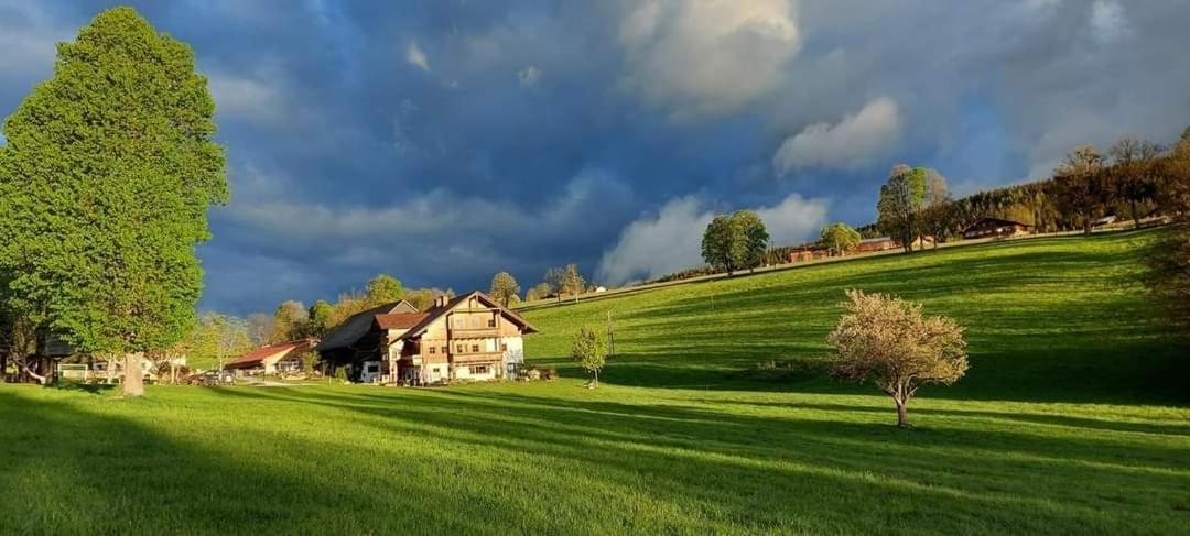 Biobauernhof Brandlhof Apartamento Ramsau am Dachstein Exterior foto
