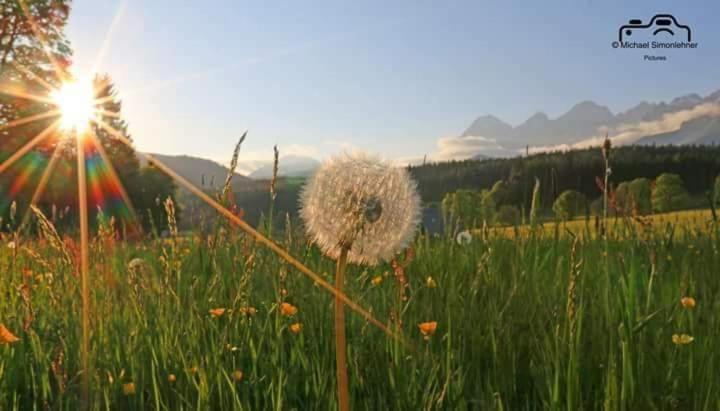 Biobauernhof Brandlhof Apartamento Ramsau am Dachstein Exterior foto